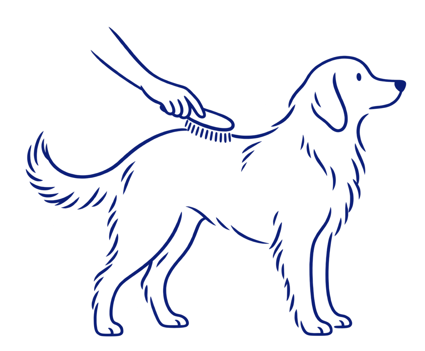 犬をブラッシングする線画
