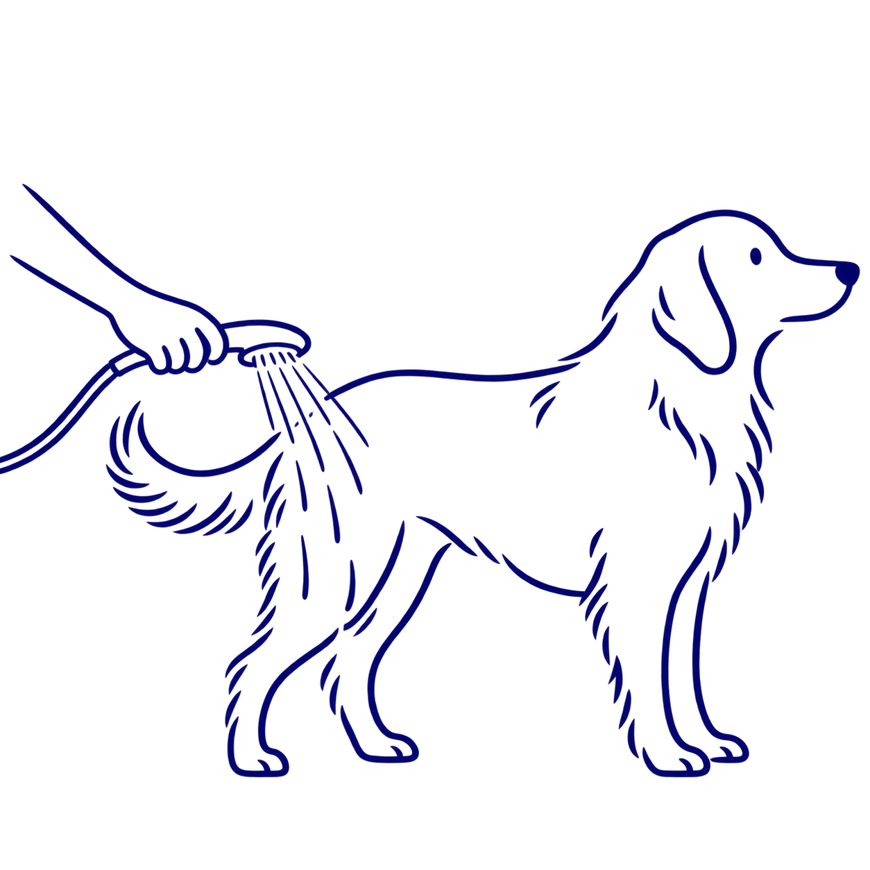 犬の被毛をシャワーで濡らす線画