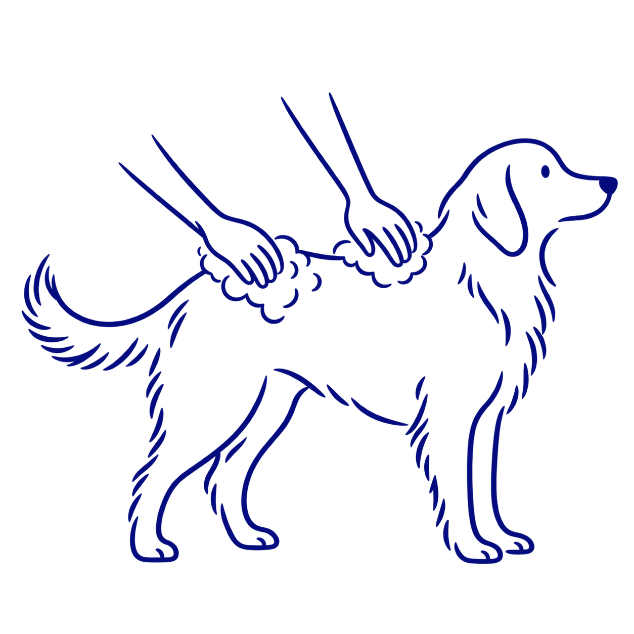 犬を石けんの泡で洗う線画