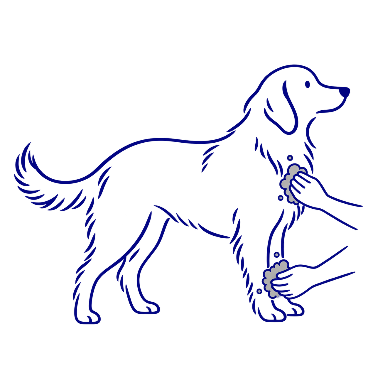 犬の汚れが気になる部分を二度洗いする線画