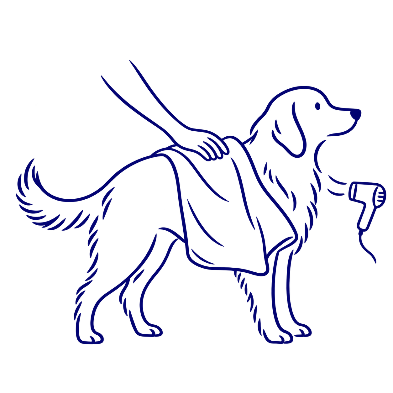 犬をタオルとドライヤーで乾かす線画