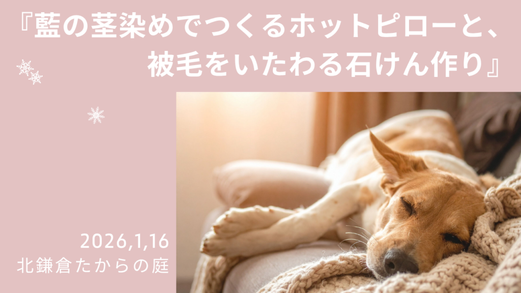 藍の茎ワークショップ